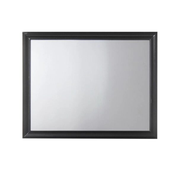 acme-naima-black-dresser-mirror-front