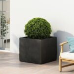 black-square-mgo-planter-with-boxwood