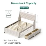 josephine-beige-quilted-queen-storage-bed-dimensions