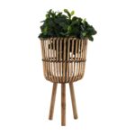 medium-natural-bamboo-footed-planter-isolated