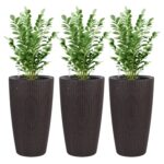 set-3-brown-rattan-self-watering-planters-with-plants