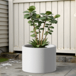 round-white-corten-steel-planter-ficus.png