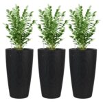 set-3-black-rattan-plastic-planters-boxwood.jpg
